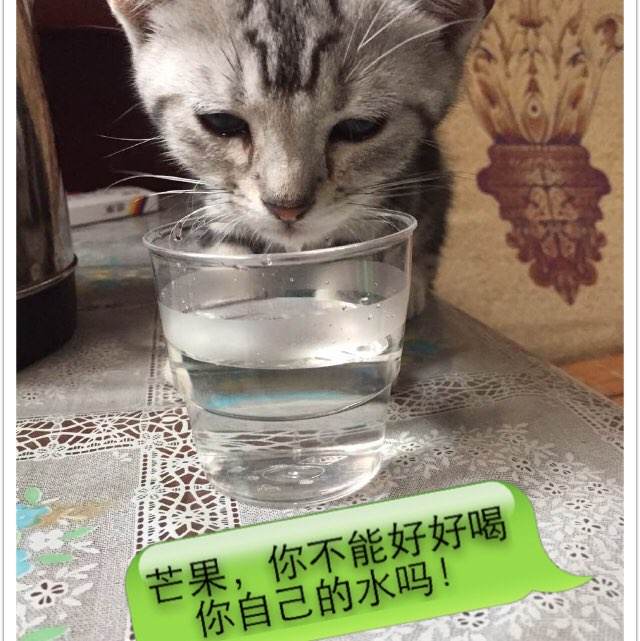 西伯利亚国立科技大学机械制造学位证